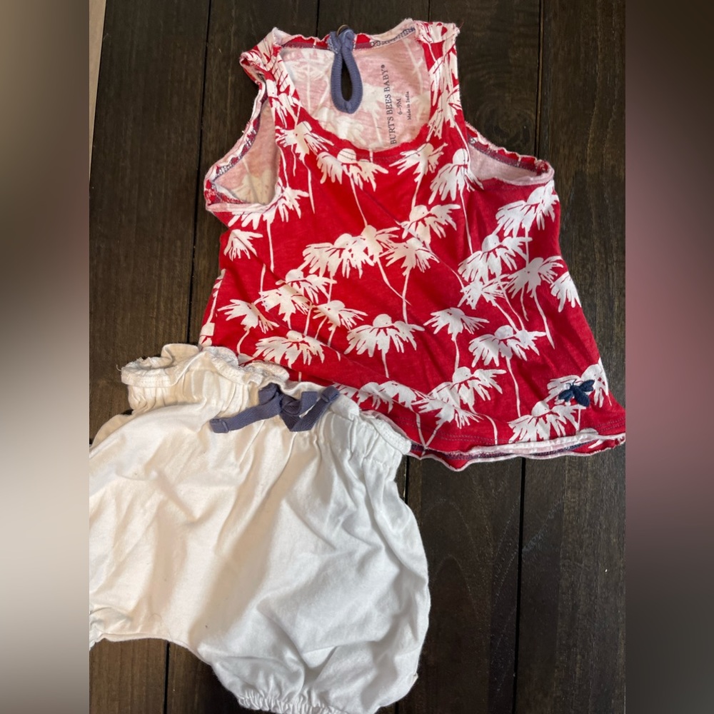 Burt’s bees 2 piece